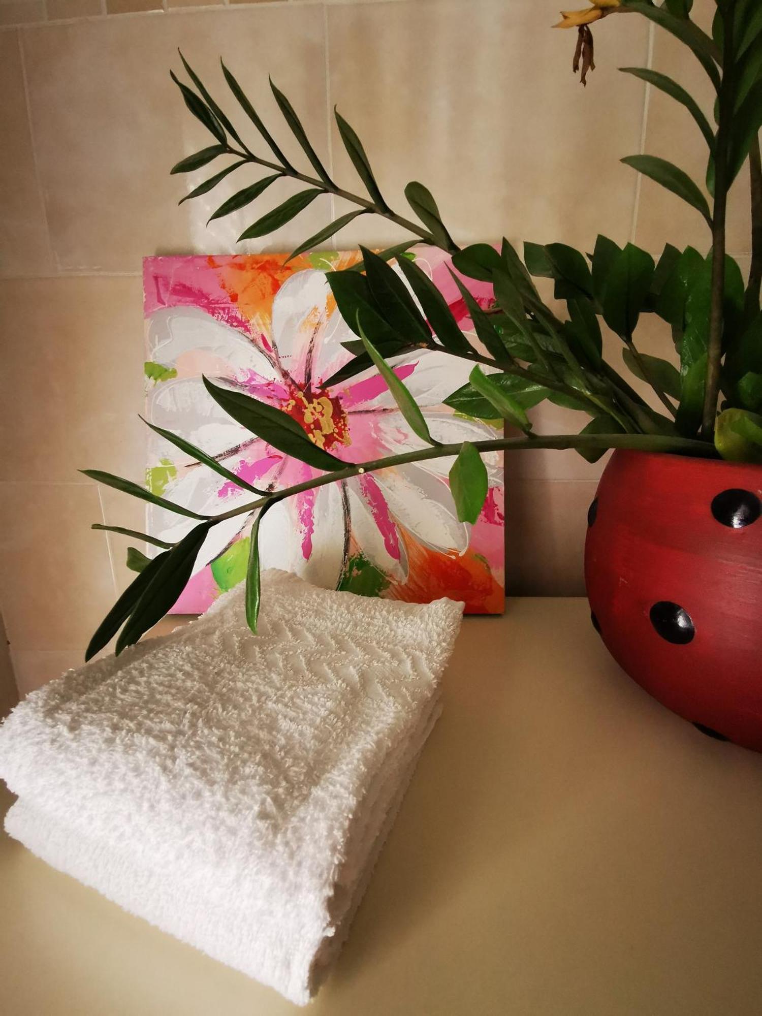 B&B Ospedale Maggiore Parma Affittacamere Buitenkant foto